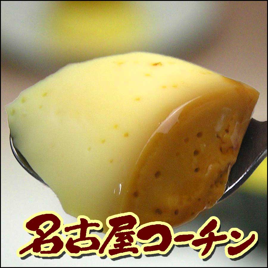 メーカー公式 菓宗庵 レトロプリン 4個 送料無料 洋菓子 お菓子 スイーツ ギフト 贈答 お取り寄せ 数量限定 名古屋コーチン 厳選